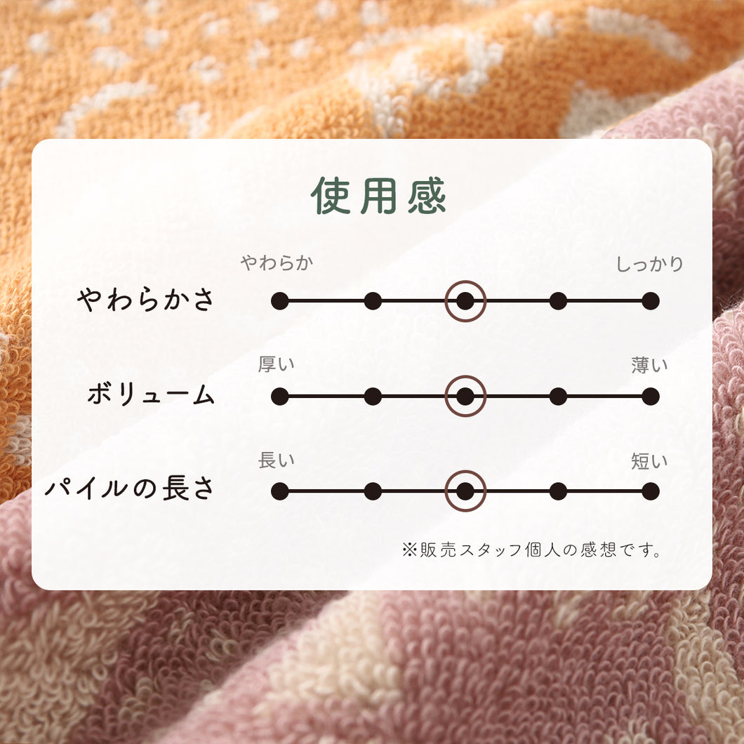 katakata コアラ ウォッシュタオル【今治BOXのラッピング不可】