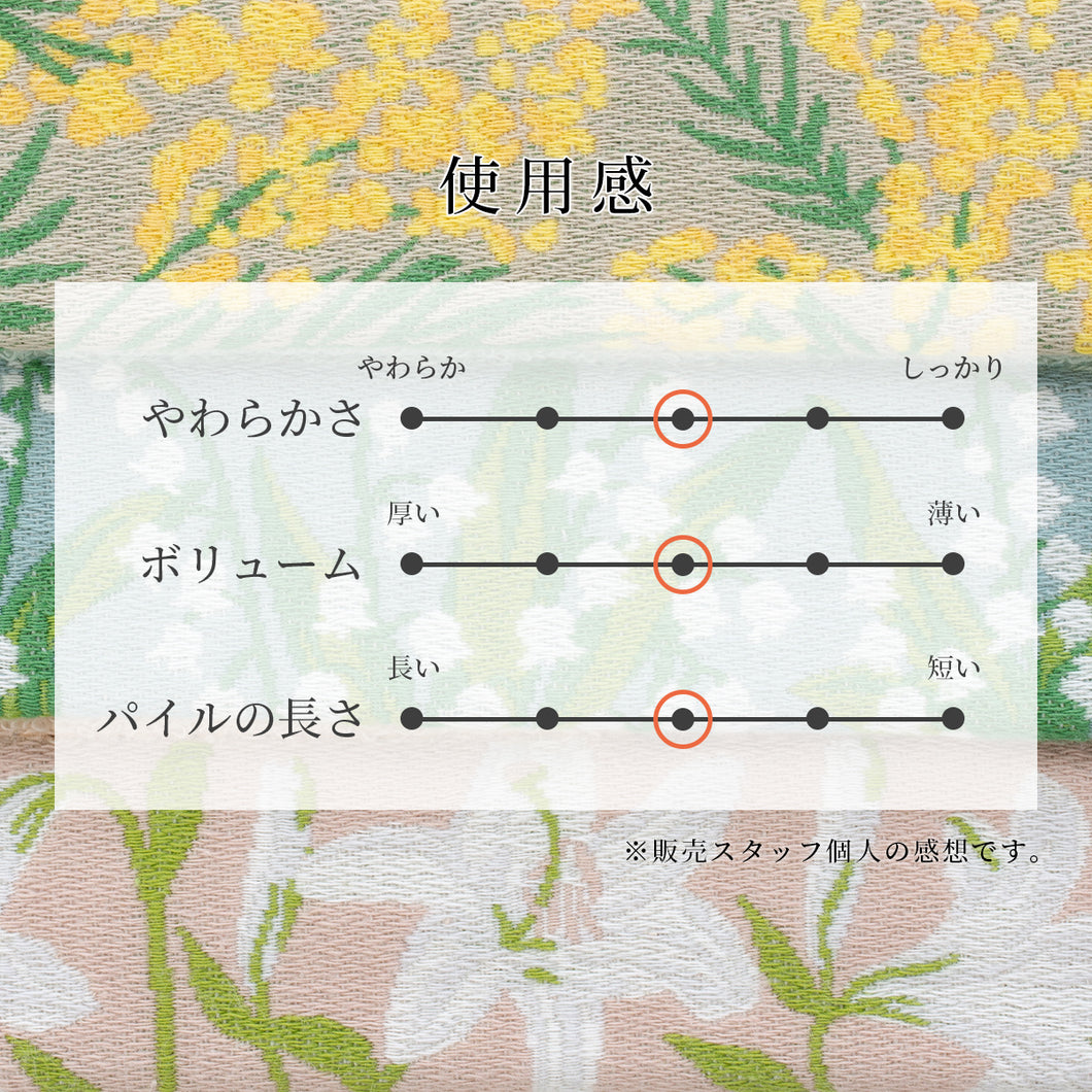 全色セット FIORE(フィオレ)フェイスタオル
