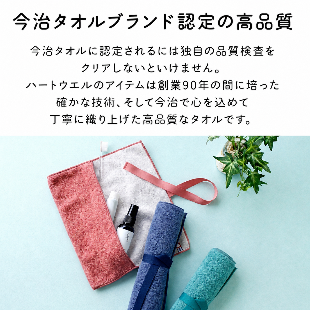 全色セット モウカワイターノプレーン ハブラシケース