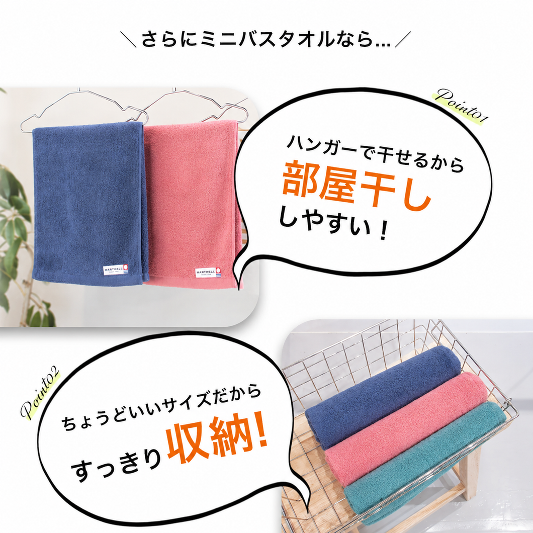 全色セット モウカワイターノプレーン ミニバスタオル