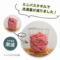3枚セット モウカワイターノプレーン ミニバスタオル